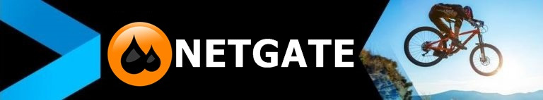 NETGATE Spy Emergency 2018 v25 İndir